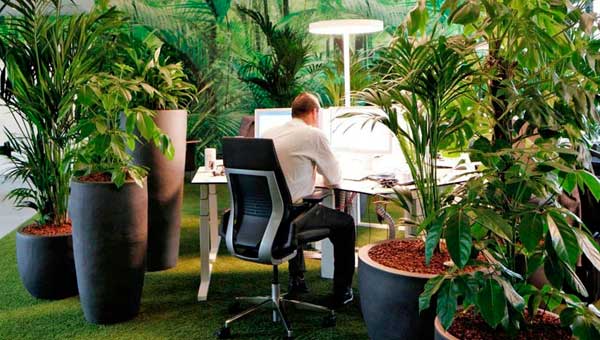 Улучшение настроения и здоровья