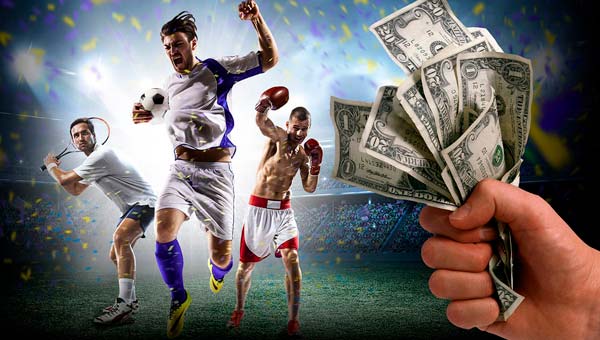 Какую букмекерскую контору выбрать