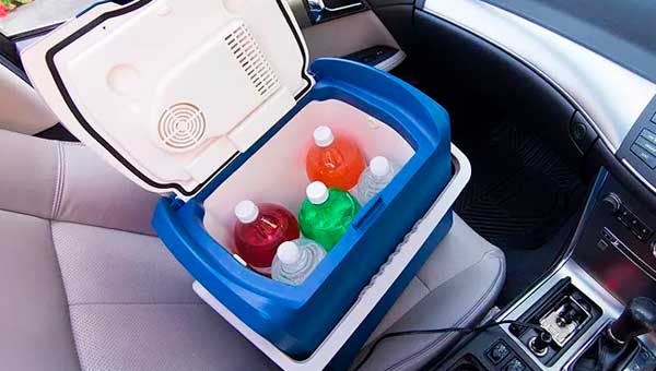 Как выбрать автомобильный холодильник