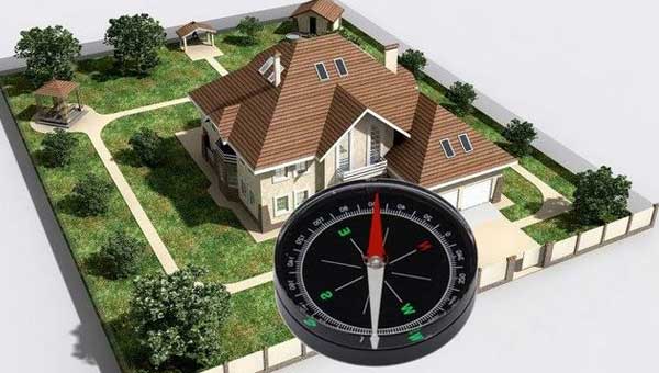 Правильное расположение деревьев снижает расходы на отопление на 30% 