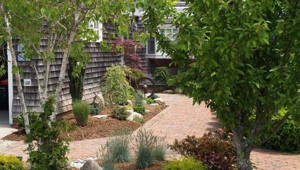 Правильное расположение деревьев снижает расходы на отопление на 30% 