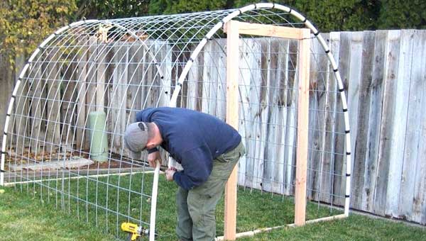 Как сделать теплицу своими руками